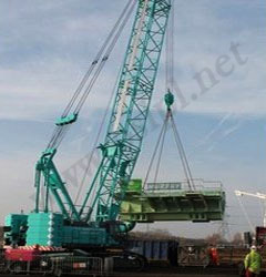 Crawler Cranes Services