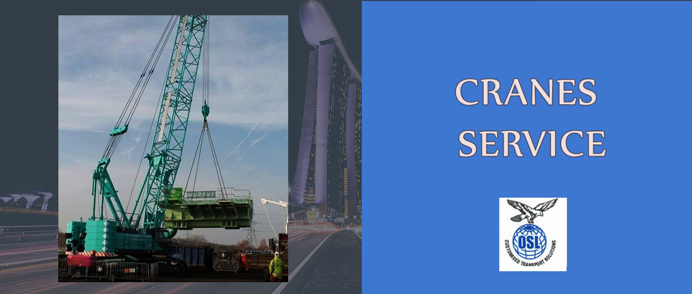 Cranes Service